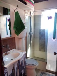 W łazience znajduje się umywalka, toaleta i prysznic. w obiekcie Refugio de paz w mieście Jaureguiberry