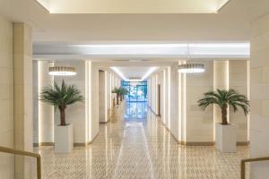 un couloir avec des palmiers dans le hall de l'hôtel dans l'établissement Radisson Hotel Saint Denis, La Reunion, à Saint-Denis
