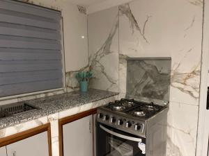 Virtuve vai virtuves zona naktsmītnē Appartement Flora Gabon