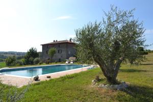 a tree in a field next to a swimming pool at Country House Style in Montefiascone +20 photos