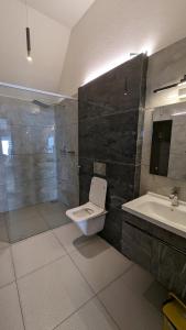 a bathroom with a toilet and a sink at kollanoor guest house in Madikeri