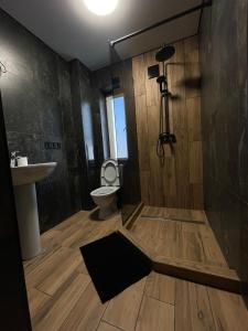 een badkamer met een toilet en een wastafel bij Майя in Mykulychyn