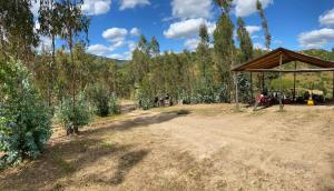 Příroda nedaleko chaty