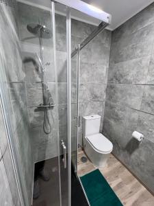 a bathroom with a shower and a toilet in it at Sueña en la Plaza Cervantes 2 in Alcalá de Henares