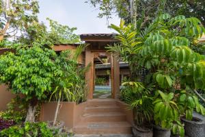 a house with trees and plants in front of it at Jepun BnB Bali in Seminyak