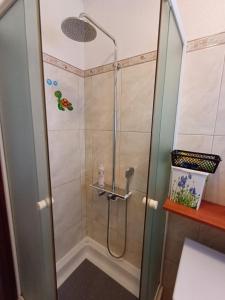 a shower with a glass door in a bathroom at Apartments Joy in Cavtat