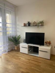 TV a/nebo společenská místnost v ubytování Angel Apartment