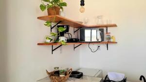 a kitchen with wooden shelves and plants on the wall at Apartamento Casal beira mar, Ventos de Sibaúma in Tibau do Sul