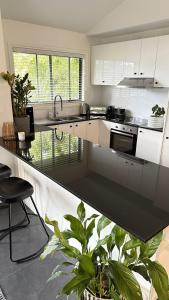 a kitchen with white cabinets and a counter with a plant at Mike's Kangaroo Valley in Kangaroo Valley