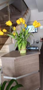Hostal Ostello Amadeus في أريكا: مزهرية من الزهور الصفراء تقف على منضدة