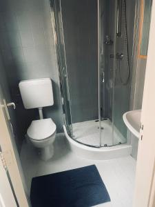 een badkamer met een douche, een toilet en een wastafel bij Tiny beachhouse - free parking in Noordwijk