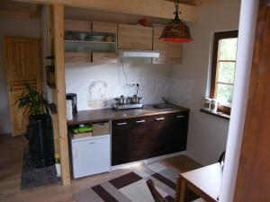 a small kitchen with a sink and a stove at Dom WIKTOR Kaszuby do 5 os. in Olpuch