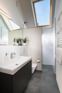 a bathroom with a sink and a toilet and a skylight at Ostsee - Appartement Nr 87 "Kapitäns Koje" im Strand Resort in Heiligenhafen
