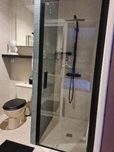 La salle de bains est pourvue d'une douche et de toilettes. dans l'établissement Chez Hélène, à Bordeaux