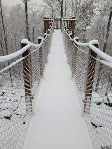 a snow covered bridge with a snow covered walkway at Gîte DDS in Manhay
