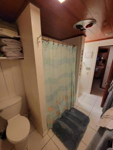 Un baño con inodoro y ducha en Lake House Retreat, en Polk City 21 fotos más