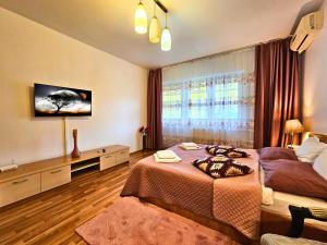 Studio Brancusi 45sqm by Rosuites