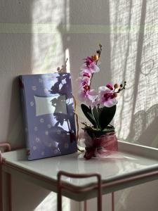 科內利亞諾的住宿－Casa TOÈ，书和花瓶,放在桌子上