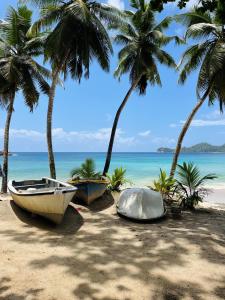 two boats on a beach with palm trees at Chalets Bougainville in Takamaka