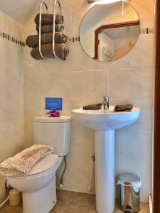 W łazience znajduje się toaleta, umywalka i lustro. w obiekcie Finest Retreats - Little Dunley - Virginia Cottage w mieście Bovey Tracey