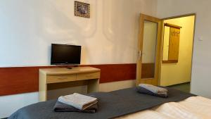 a bedroom with a bed and a desk with a television at Hotel Pod Vlekem in Loučná pod Klínovcem