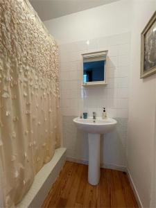 uma casa de banho com um lavatório e uma cortina de chuveiro em Appartement cœur de Ville Vichy em Vichy