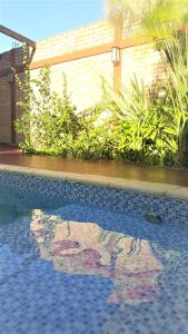 una piscina con un reflejo de un mono en el agua en Carnaval p/6 - 2 dorm - Amplio y a 5' del centro en Salta