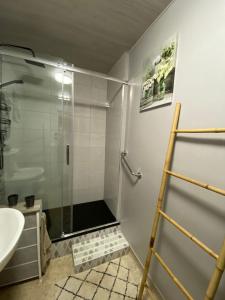 a shower with a glass door in a bathroom at CHEZ NOUS BIS in Commercy