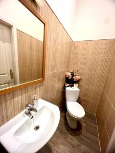 een badkamer met een wastafel, een toilet en een spiegel bij Luxuriöse Appartements in Wienerwald Residenz in Baden