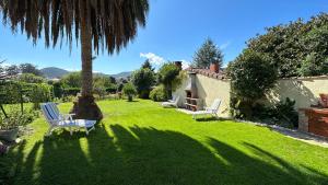 einen Hof mit zwei Stühlen und einer Palme in der Unterkunft Casa Rural La Quinta del Taraceo in Muros de Nalón