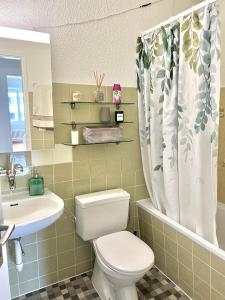 bagno con servizi igienici e lavandino di Appartamento per 4 persone a Rudolfstetten