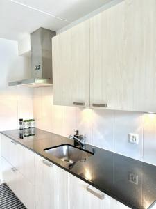 una cocina con armarios blancos y fregadero en Appartamento per 4 persone en Rudolfstetten
