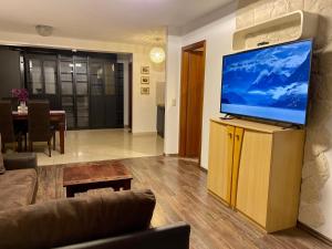 TV a/nebo společenská místnost v ubytování Wunderschönes Apartment in der Goldstadt Pforzheim
