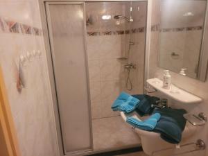 a bathroom with a shower and a toilet and a sink at Appartement Canberra. in Bergen aan Zee