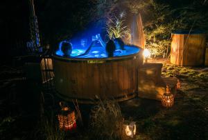 Dwa koty siedzące w wannie w nocy w obiekcie Szeroki Bór oaza w Puszczy z Sauną, Banią i Jacuzzi w mieście Szeroki Bór