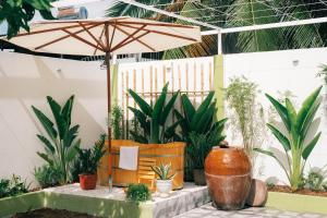 eine Terrasse mit Pflanzen und einem Sonnenschirm in der Unterkunft Entire House - Nhà nguyên căn - Nhà Mơ Homestay Bến Tre in Ben Tre