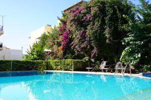 Πισίνα στο ή κοντά στο Calm Luxury Flat