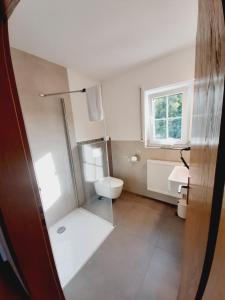 a bathroom with a toilet and a sink at Pension Dorfengel in Berolzheim