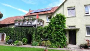 Κήπος έξω από το Ferienwohnung Benkertshof
