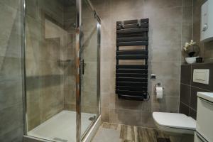 łazienka z prysznicem i toaletą w obiekcie Apartament Lukas w Kędzierzynie-Koźlu