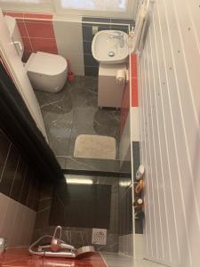 een kleine badkamer met een toilet en een wastafel bij Studio DAMA blizina amfiteatra i bus kolodvora ,privatan parking ,Self-Check- In in Pula