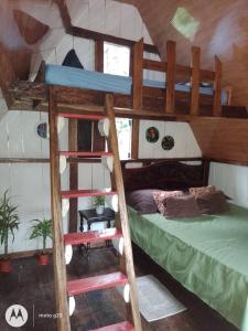 a bedroom with a bunk bed with a ladder at Cabaña bosque río celeste in San Rafael