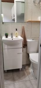 a bathroom with a white sink and a toilet at Tiny House Funchal in Funchal