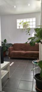 a living room with a brown couch and some plants at Tiny House Funchal in Funchal