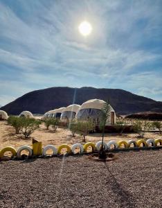 a group of domes in a field with a mountain at Adel rum camp bubbles in Wadi Rum