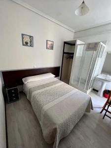 - une chambre avec un grand lit et un lavabo dans l'établissement Hostal Conde De Alba, à Madrid