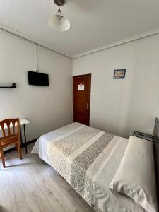 a bedroom with a bed and a desk and a television at Hostal Conde De Alba in Madrid