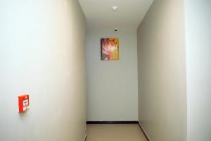 um corredor com uma pintura na parede em Inoga Luxury Hotel em Dodoma