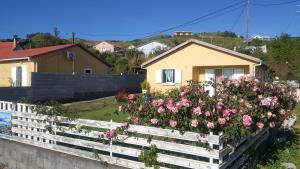 a bunch of pink roses in a wooden fence at Case Vi d' o' in Le Tampon