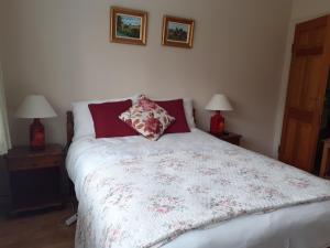 a bedroom with a bed with two end tables and two lamps at Conways B&B in Claremorris